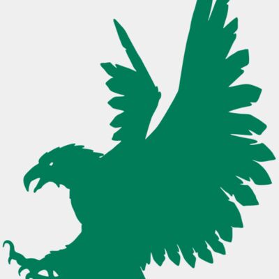 AR EAGLE 88 RC Thumbnail