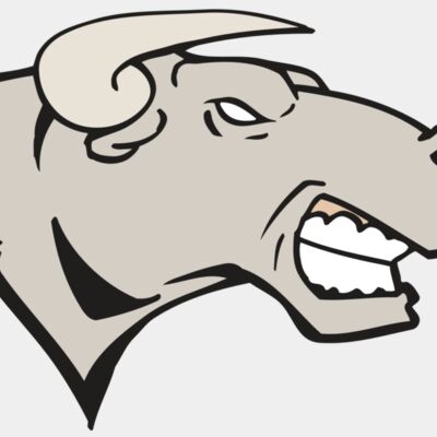 AR BULL 18 RC Thumbnail