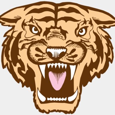 BAW TIGER 05 RC Thumbnail