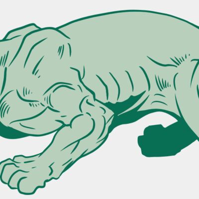 AR10 PANTHER 05 RQC Thumbnail