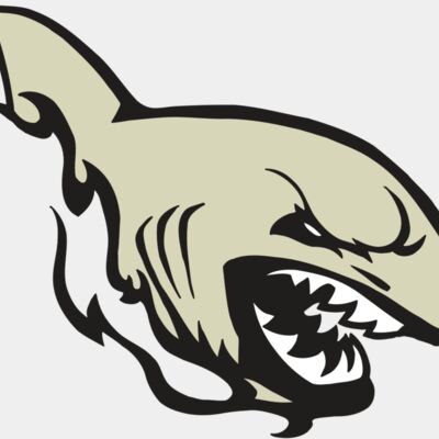 AR5 Shark 08 RQC Thumbnail