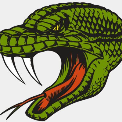 BAW SNAKE 14 RC Thumbnail