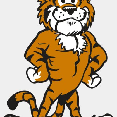 AR TIGER 91 RC Thumbnail