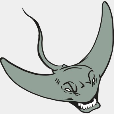 AR19 STINGRAY 05 RQC Thumbnail