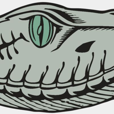 BAW SNAKE 10 RC Thumbnail