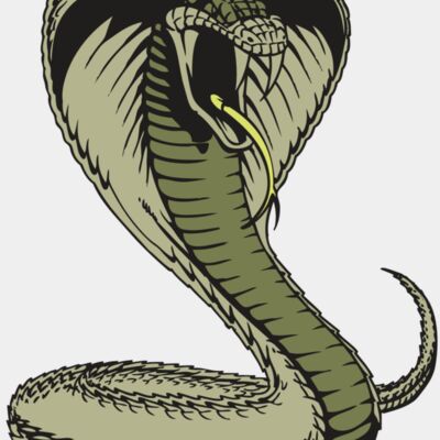 BAW SNAKE 07 RC Thumbnail