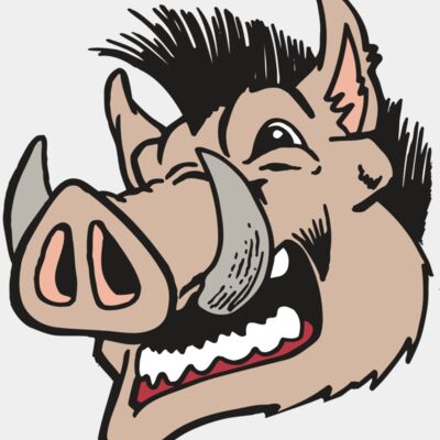 AR RAZORBACK 18 RC Thumbnail