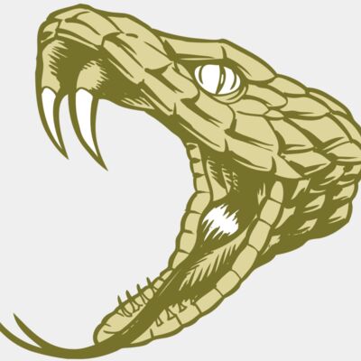 BAW SNAKE 11 RC Thumbnail