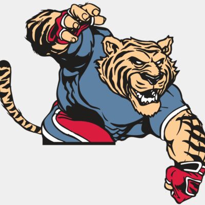 AR TIGER 30 RC Thumbnail